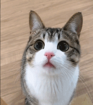 Fishing Club 2_컬러블럭 홑겹 바람막이